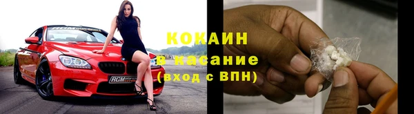 индика Покачи