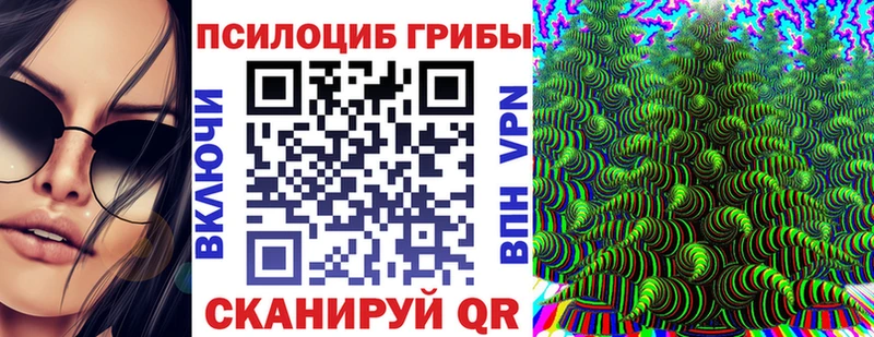 Псилоцибиновые грибы мухоморы  дарк нет формула  Заволжье  купить наркотик 